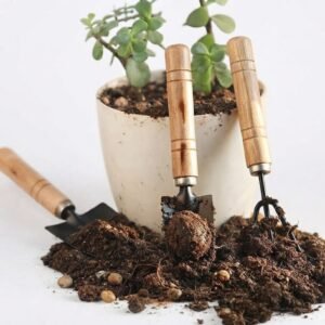 Garden Tool Set Mini
